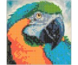Набор для творчества Алмазная мозаика 5D Попугай 20х20см без подрамника частичное заполнение 89624