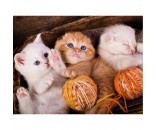 Набор для творчества Роспись по холсту 30х40 см Маленькие котята с клубочками ХК-6612